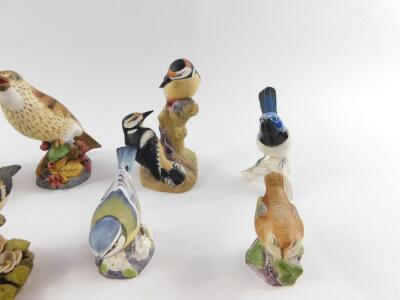 Royal Worcester porcelain figures of birds, including a thrush, pied woodpeckers, coal tits, and a wren, together with Karl Ens, Beswick and other porcelain and pottery figures of birds. (11) - 2