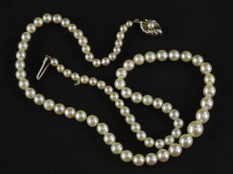 A cultured pearl necklace, with graduated pearls, from 3mm to 6mm, on white strand, with a white metal clasp, marked 800, 45cm L overall.