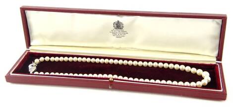 A single strand graduated cultured pearl necklet, with Akoya salt-water 18" light cream coloured pearls, sizes 6mm to 9mm, with an 18ct white gold sapphire and diamond set clasp, the sapphire approx 0.15cts, the diamonds totalling 0.02cts overall, 46cm lo