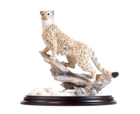 A Country Artists figure group Nature Trail Snow Leopard, CA751, 21cm H.