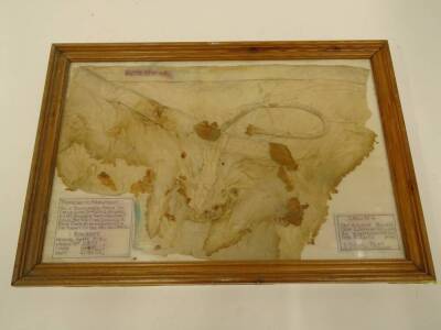 A silk parachute fragment, noted as a relic recovered from the crash site of a WWII Heinkel HE 111 bomber that was shot down by A A Fire during a raid over Birmingham on the night of 19th November 1940, with further craft and crew data, framed and glazed, - 5