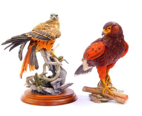 A Country Artists sculpture modelled as a Red Kite, with fern and larch cones, by David Ivey, 01648., and a further figure of a Harris Hawk, 02774. (2)