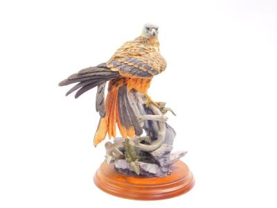 A Country Artists sculpture modelled as a Red Kite, with fern and larch cones, by David Ivey, 01648., and a further figure of a Harris Hawk, 02774. (2) - 2