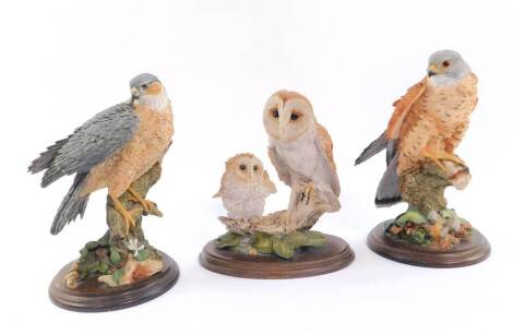 Country Artists raptor sculptures, including a barn owl and chick, and a sparrow hawk, raised on wooden bases. (3)