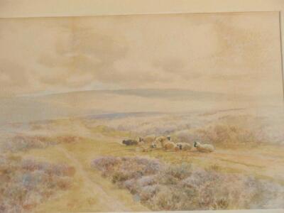 John Syer (1846-1913). Grazing sheep on moorland - 2