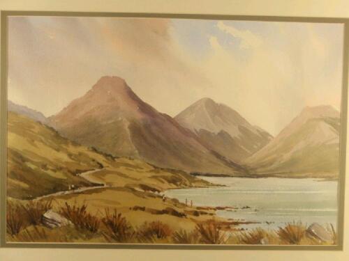 Roy Pettitt . A view of Wastwater