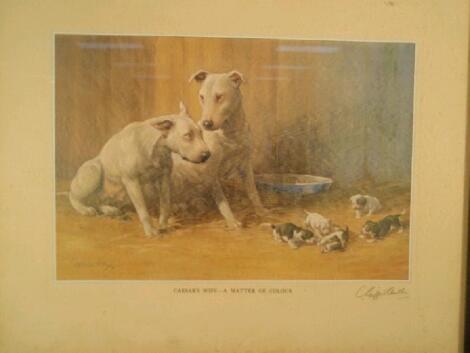After Clifford Camoller. Artist signed coloured print