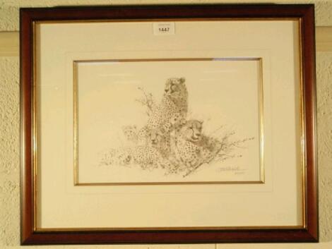 After David Shepherd. Cheetah