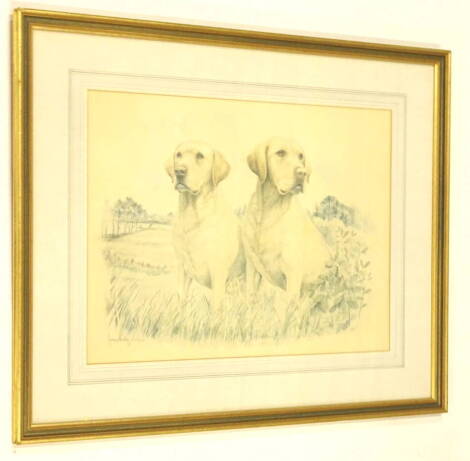 James Rowley (20thC). Labradors in a field, artist signed limited edition print, No. 244/850, 40cm x 52cm.