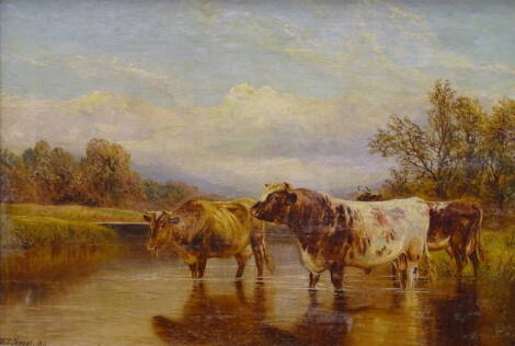 William Vivian Tippett (1833-1910). Cattle at waters edge, oil on canvas, signed and dated (18)84, 39.5cm x 59.5cm.