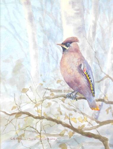 Cecil Thomas Hodgkinson (British, 1895-1979). A waxwing, watercolour, signed, 26.5cm high, 20cm wide.