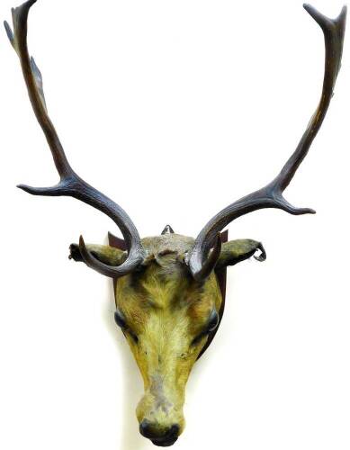 A 20thC six point deer head on shield back with metal mounts, 66cm high.