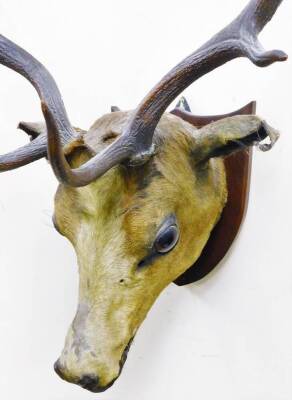 A 20thC six point deer head on shield back with metal mounts, 66cm high. - 3