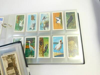 Cigarette cards, chiefly sets, some part sets, including John Player From Plantation to Smoker, Gems of British Scenery, Wills's First Aid, Race Horses and Jockeys 1938, Public Schools, Senior Service British Railways, de Reske England Historic and Pictur - 3