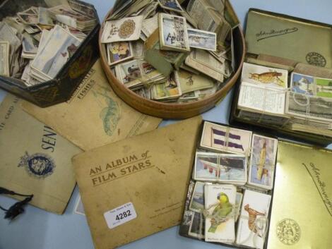 A large quantity of cigarette cards