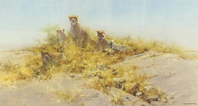 •David Shepherd (1931-2017). The Cheetahs of Namibia, artist signed limited edition coloured print 175/1000, 45cm x 74.5cm.