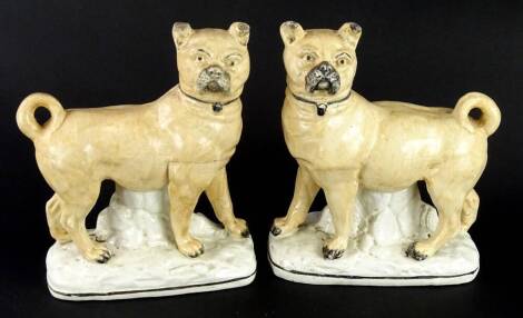 A pair of mid 19thC Staffordshire pottery pugs, each on a rectangular base, 24cm high. (AF)