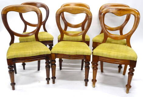 A set of six Victorian mahogany and walnut balloon back dining chairs, each with a padded back and seat, on turned tapering legs.