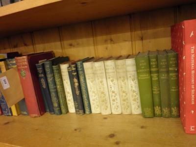 A quantity of canvas bound books mainly with decorative spines to include