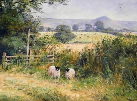 Joe Hush (b.1951). Appleby 2½ miles, acrylic, signed, 25cm x 34cm.