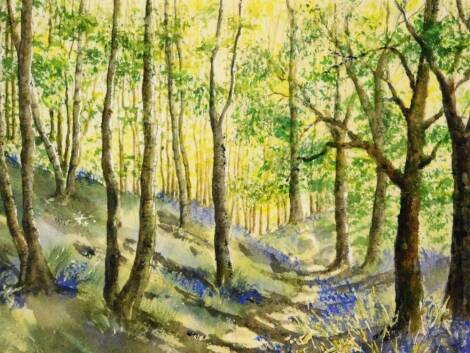 Barbara Fraser (20thC). Woodland scene, watercolour, signed, 19.5cm x 29cm.