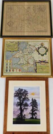 After Speede. Map of Breknoke, bearing date 1610 but later, 39cm x 51cm, a limited edition John Speede map of Pembrokeshire, number 13 of 2000 and Catherine Harvey (20thC), Trees, limited edition print number 1 of 50. (3)