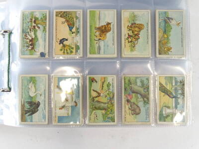 A quantity of cigarette cards, to include Black Cat, Carreras, Players, etc. - 2