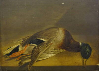 19thC School. Dead Mallard, oil on panel, 23.5cm x 32.5cm.