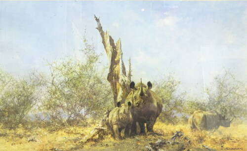 •David Shepherd (1931-2017). Rhino Beware, artist signed limited edition coloured print 686/1300, 51cm x 79.5cm