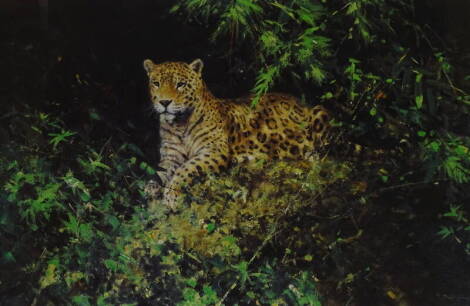 •David Shepherd (1931-2017). Jaguar, artist signed limited edition coloured print, 237/850, 47cm x 73cm.