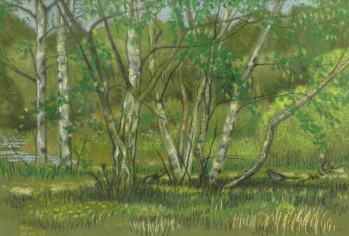 •Janet Minty (20thC). Woodland scene, pastel, signed and dated June (19)95, 24.5cm x 35.5cm.