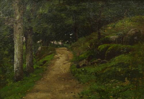 •20thC British School. Woodland path, oil on canvas, 31cm x 45cm.