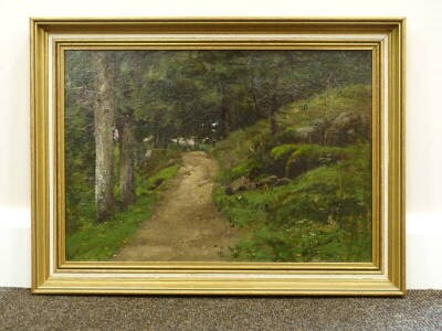 •20thC British School. Woodland path, oil on canvas, 31cm x 45cm. - 2