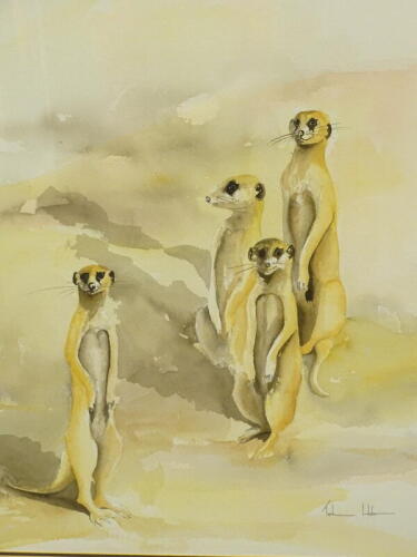 •Tash Hofer (20thC). Meerkats, watercolour, signed, 66cm x 52cm.