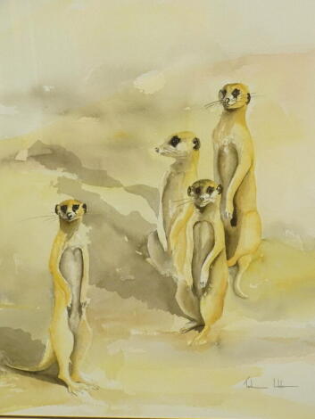 •Tash Hofer (20thC). Meerkats, watercolour, signed, 66cm x 52cm.