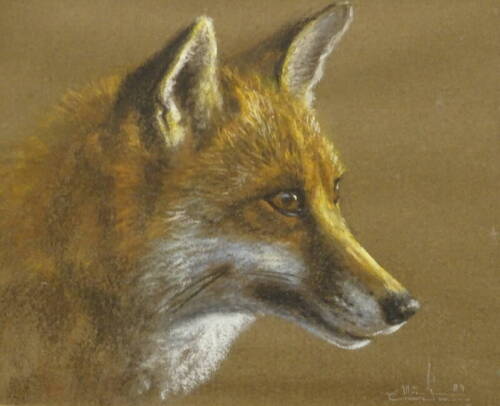 •20thC British School. Story of a fox, pastel, signed and dated (19)89, 25cm x 32.5cm.