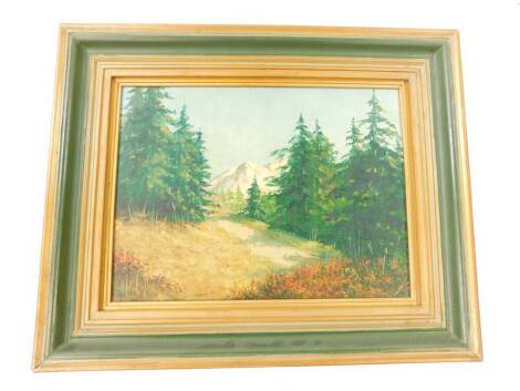 B Nebass (Canadian, 20thC). Landscape with mountains and evergreens, oil on canvas, signed, 29cm high, 39cm wide.