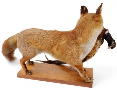 A 20thC taxidermied fox group with dead pheasant to the mouth, on a rectangular wooden plinth base, unmarked, 48cm high. - 2