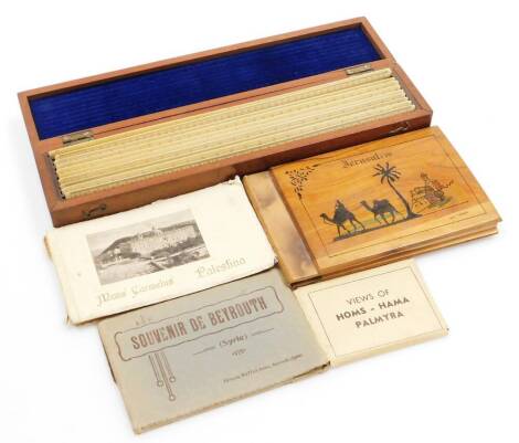 An early 20thC mahogany cased ruler set, to include a number of Elliott Bros 449 Strand London rulers, in a fitted mahogany case, 35cm wide, and two Jerusalem and Palestine souvenirs, to include printed postcards, pressed flowers and a view of Palmyra set