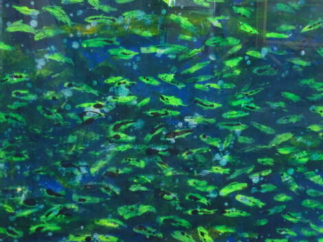 •Ian Jones (British). Fishes, 1992, monoprint, 80cm x 108cm. Provenance: Louise Pickering Fine Art.