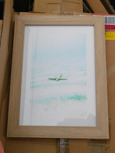 An East Urban Home 'Starfish and Seashells' framed print, RRP £25.99.