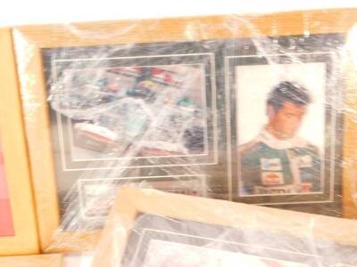 Twenty nine framed prints of Formula One World Champions, (between 1950 to 2004)., to include Graham Hill., Jackie Stewart., Nikki Lauda., Nigel Mansell., Damon Hill and Michael Schumacher. - 7