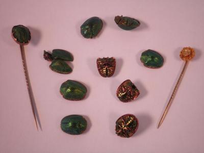 A gold stick pin set with a scarab beetle