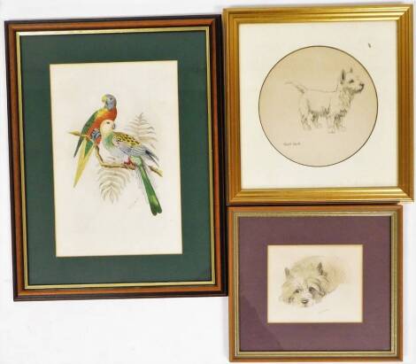 Three animal related pictures, to include a pencil sketch of That Pup, a pencil and watercolour of Daisy? and a J.O. Sherratt watercolour of a pair of parrots. (3) N.B. This lot is sold on behalf of the Rotary Club of Grantham.