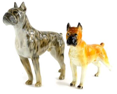 A Royal Copenhagen ceramic model of a Boxer dog, 15cm long, and a continental Boxer dog (AF).