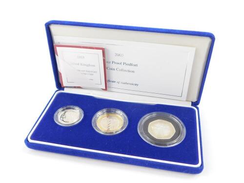 A Royal Mint United Kingdom silver proof Piedfort one pound coin collection 2003, cased with certificate.