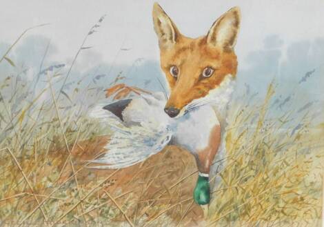 Cecil Hodgkinson (British, 1895-1979). A fox and mallard in the marshes, watercolour, signed, 24cm x 34cm.