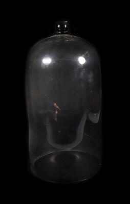 A large Victorian glass bell jar, 56cm high.