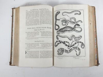 Schevchzeri (Johann Jacob) COSIMI AENEI INFERUIENTES ILLUSTRATIONI & EXORNATIONI PHYSICAE SACRAE..., 4 vol., engraved plates, contemporary sprinkled calf, spines gilt, morocco spine labels, folio, Augsburg, 1731-35. - 14