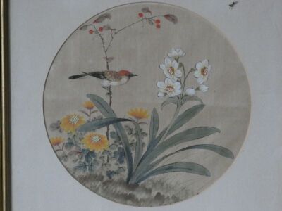 A pair of 20thC Chinese paintings on silk, depicting birds within flowering foliage and shrubs, 23.5cm diameter. - 3